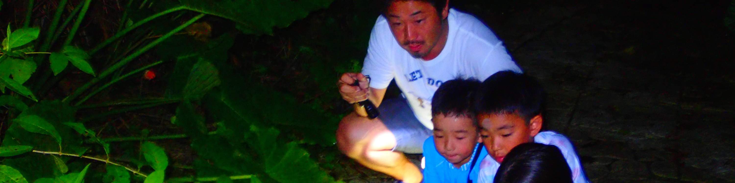 [Miyako Island/Night] Stargazing & Jungle Night Tour